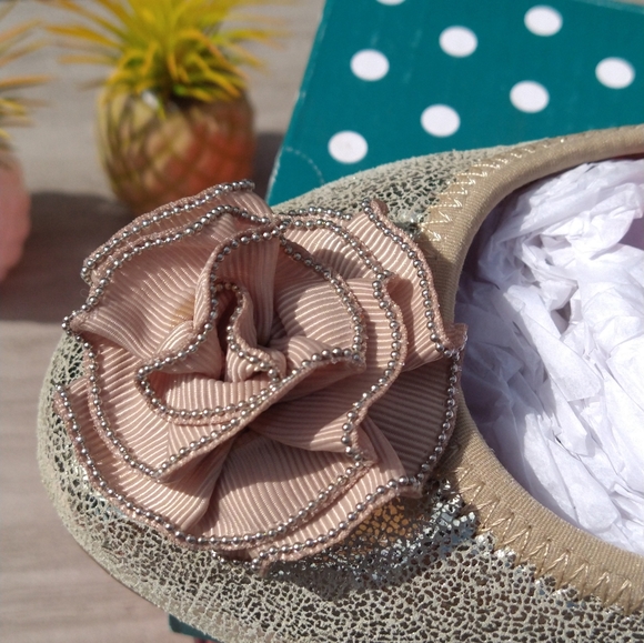 LP's Gold Crackle Metallic ๐ Ballet Flats - Picture 3 of 7